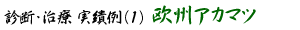 診断・治療 実績例(1)欧州アカマツ